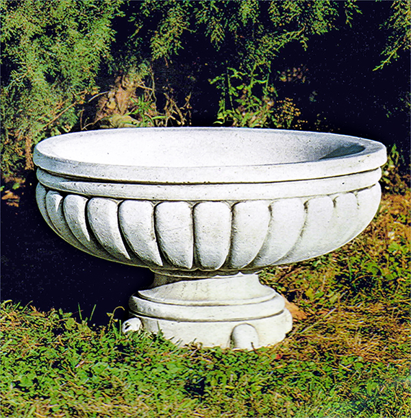 PapiniAgostino　クラシカ