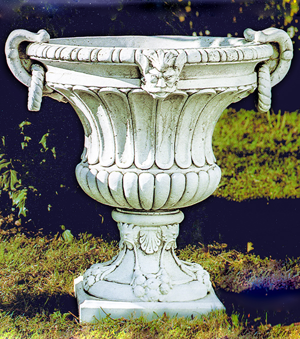 PapiniAgostino　ベルサイユ