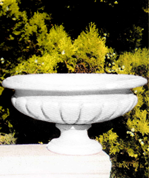 PapiniAgostino　アベンティーノ