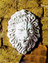 PapiniAgostino　たてがみライオン