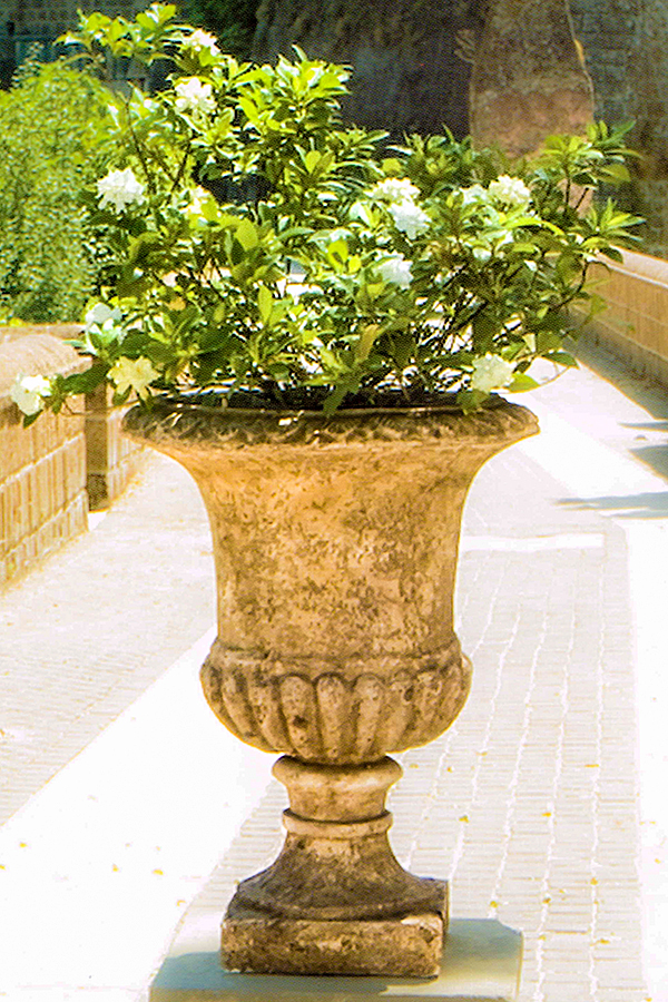 Italgarden　花鉢　カリーチェ・クラシコ