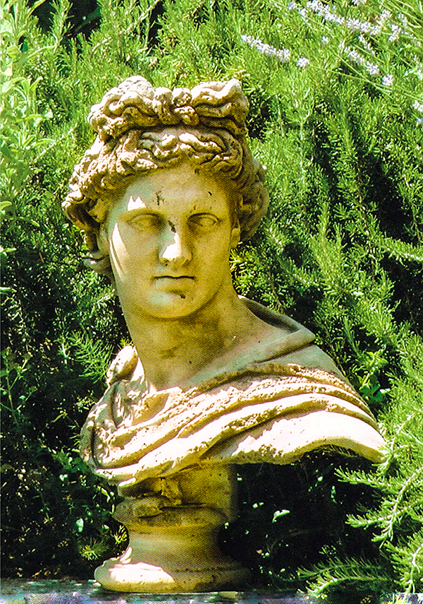 Italgarden　胸像　アポロ　クラシック