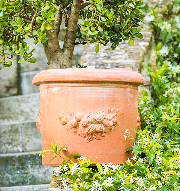 Trequanda　筒型フェストナート