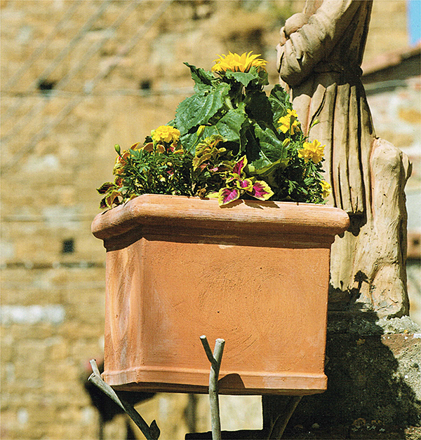 Trequanda　角型リッシオ