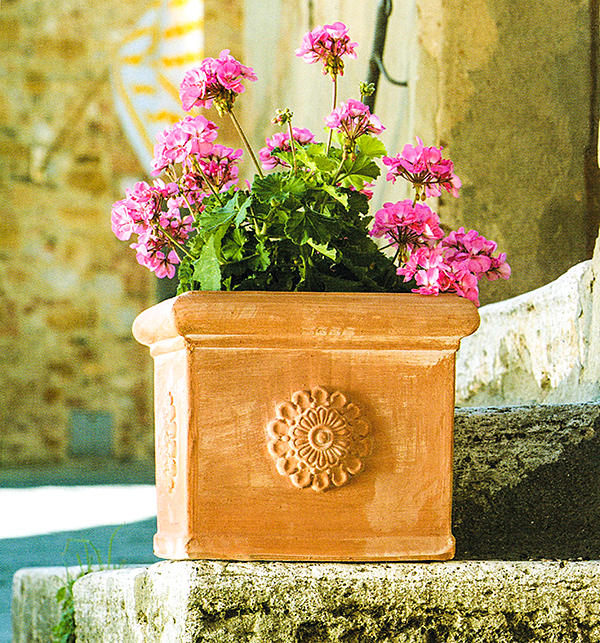 Trequanda　角型ロゼーネ