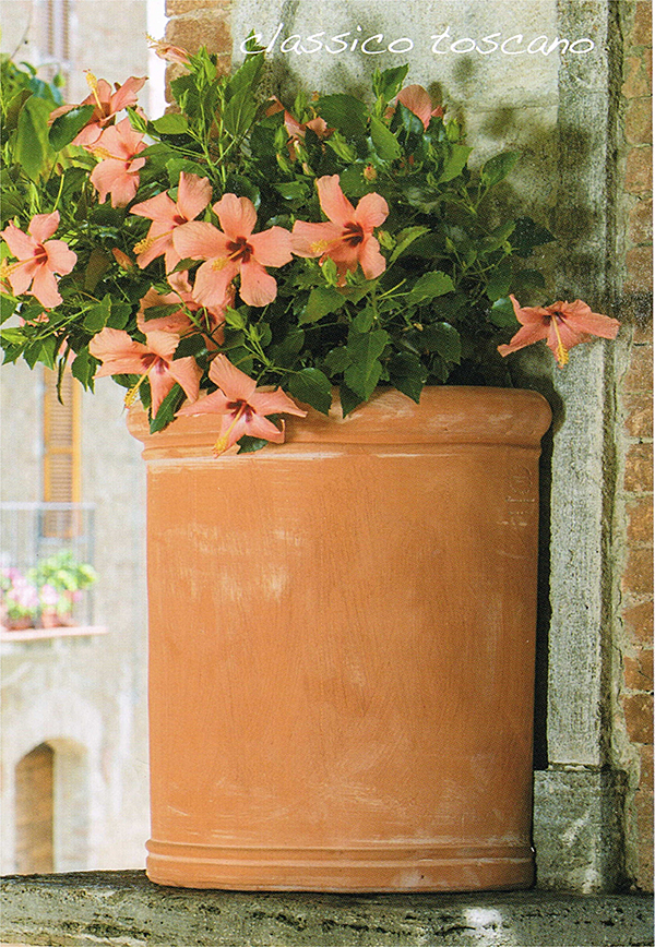 Trequanda　壁置きリッシオ