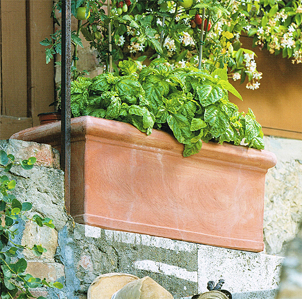 Trequanda　長方形リッシオ