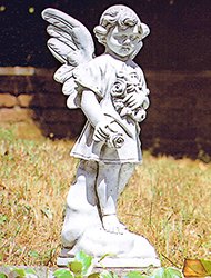 Italgarden　花の天使