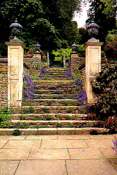 アイフォードマナー